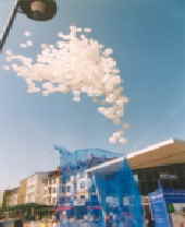 Ballonflug Party