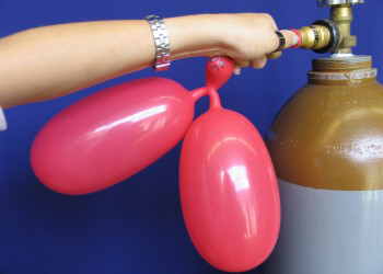 Luftballonfiguren Ohren aufblasen