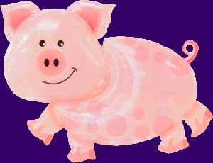 Schwein
